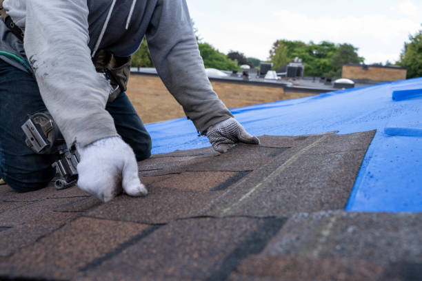 Best Residential Roofing Contractor  in West Leechburg, PA
