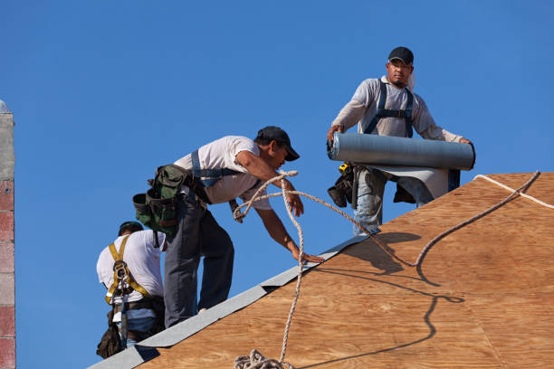 Best Roof Gutter Cleaning  in West Leechburg, PA